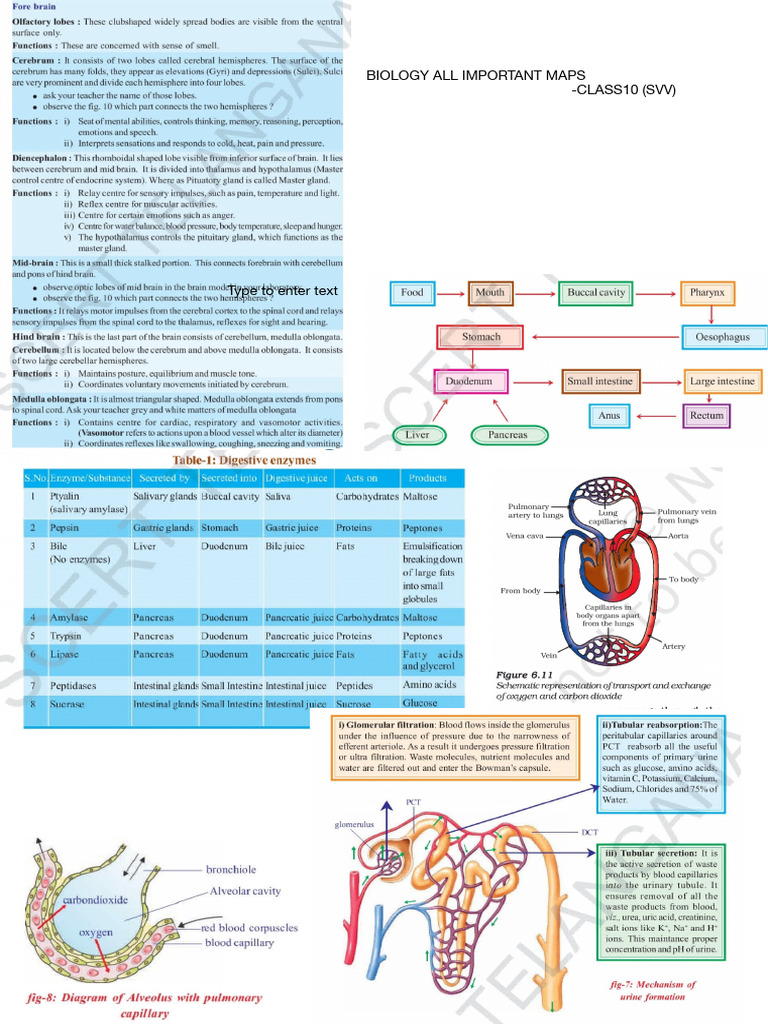 Biology Tables | PDF