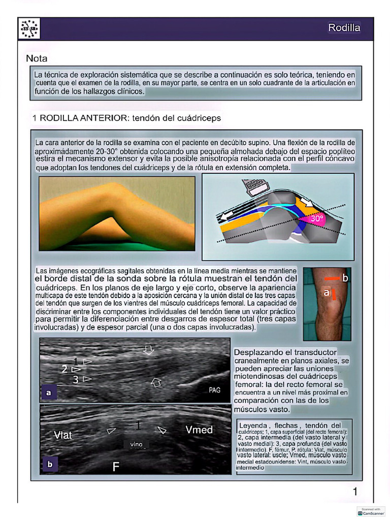 ecograf-a-rodilla-protocolo-ue-pdf