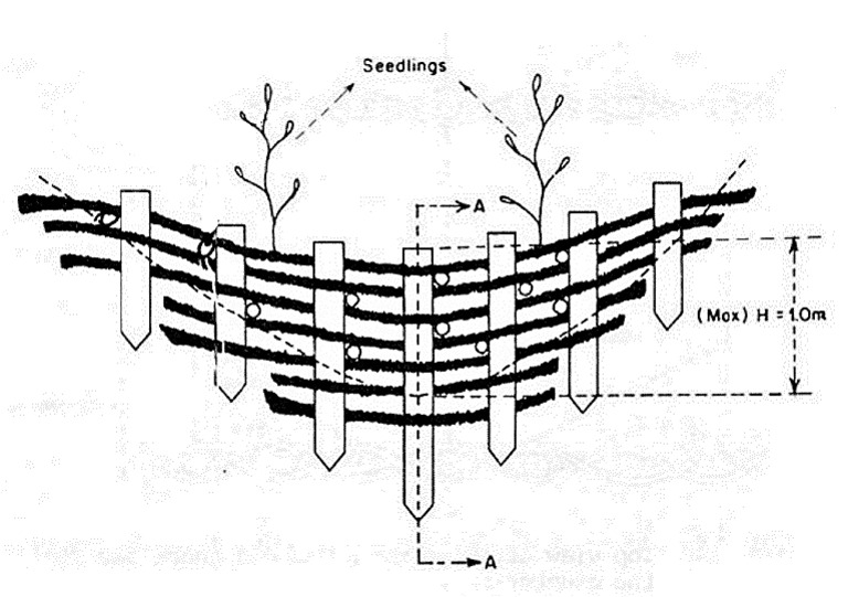 Brushwood Check Dam Placed Across The Gully | PDF