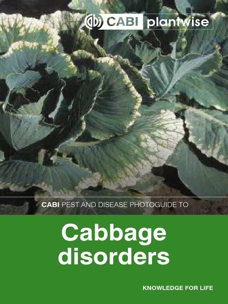 Cabbage Pests and Diseases Guide | PDF | Organisms | Insects