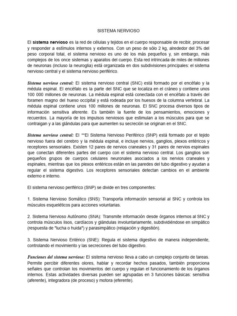 Estructura y Funciones del Sistema Nervioso | PDF | Sinapsis | Neurona