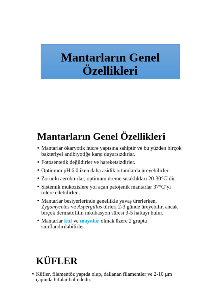 2 Hafta | PDF