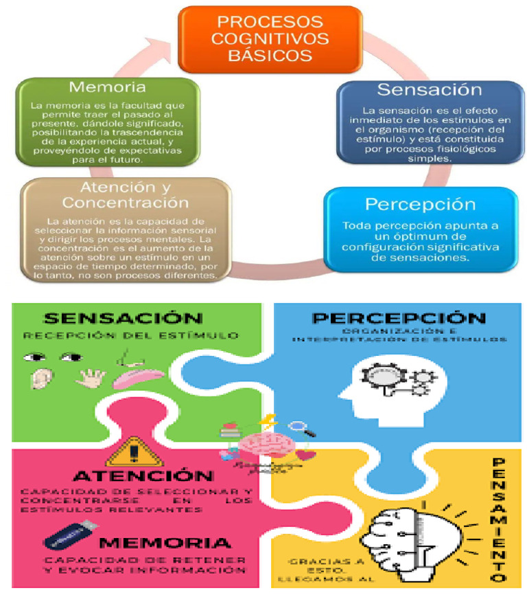 Atencion Percepción Y Memoria Diana Pdf