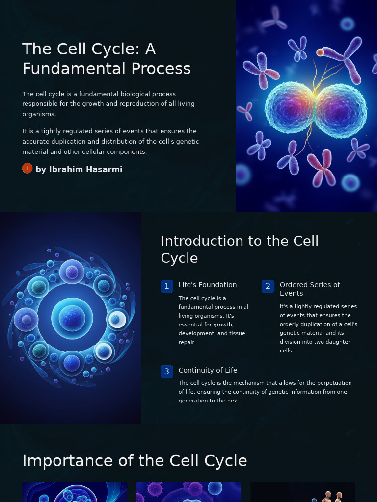 Understanding the Cell Cycle Process | PDF | Mitosis | Cell Cycle