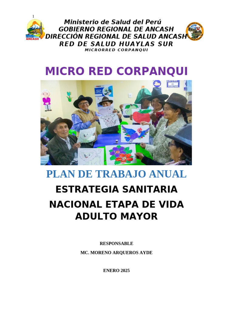 Plan Anual de Salud para Adultos Mayores | PDF | Vejez | Cuidado de la ...