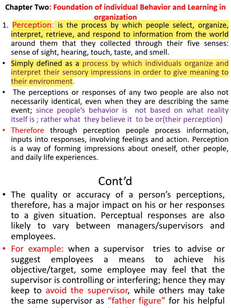 Perception and Attitudes in Organizations | PDF | Perception | Attitude ...