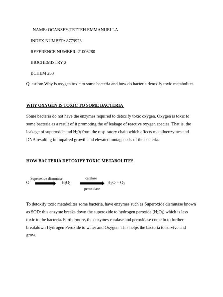 Oxygen Toxicity in Bacteria Explained | PDF