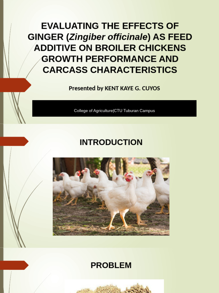 EVALUATING THE EFFECTS OF GINGER (Zingiber Officinale) DESIGN HEARING ...