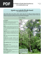 Vesi Tree: Intsia bijuga Overview | PDF | Earth Sciences | Trees