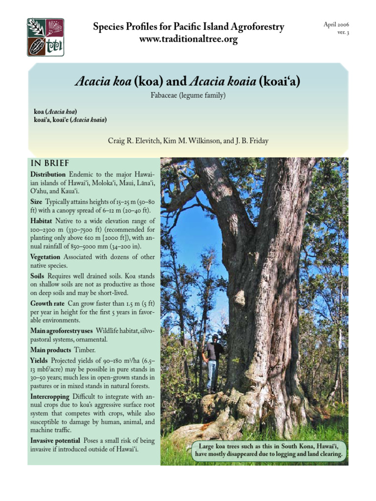Koa Tree: Ecology and Uses in Hawaii | PDF | Soil | Leaf