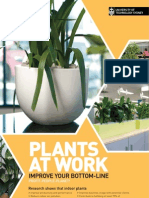 Plantas de Interior en La Oficina