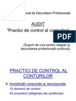 AUDIT - Practici de Control Al Conturilor 2010