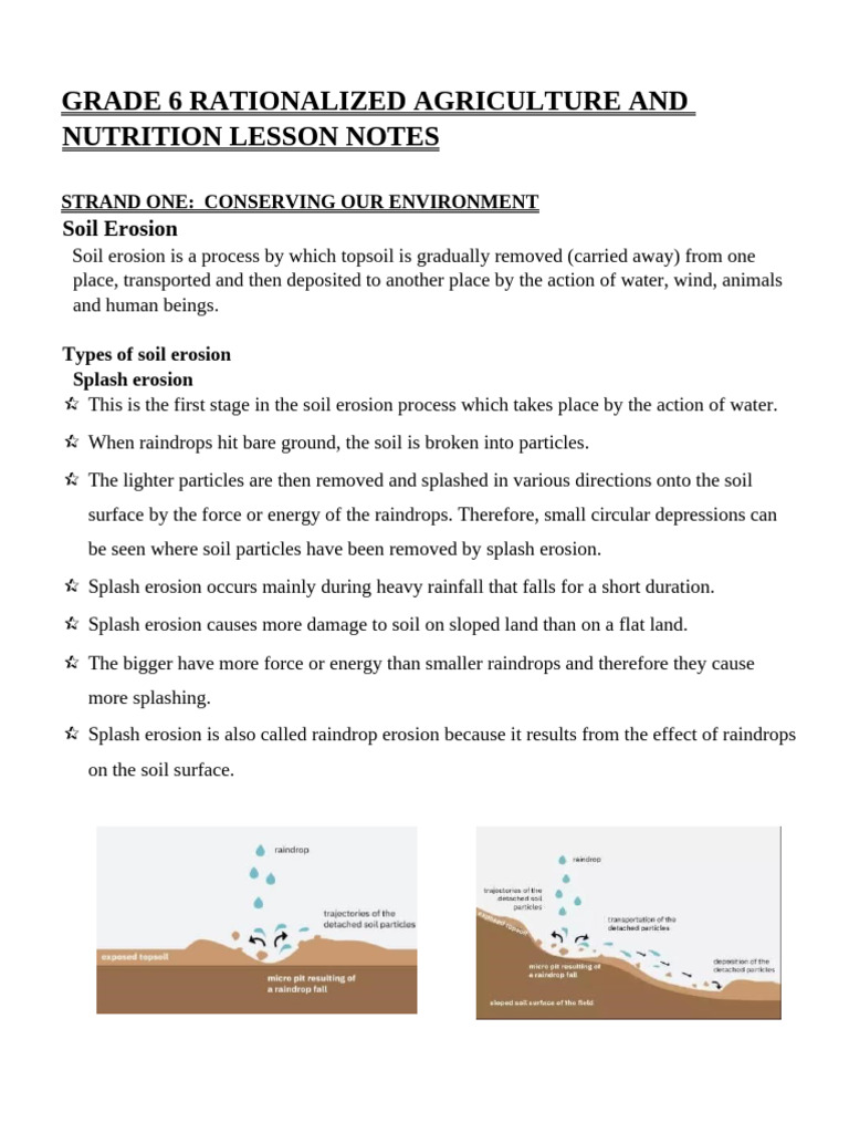 Grade 6 Agriculture & Nutrition Notes | PDF | Erosion | Surface Runoff