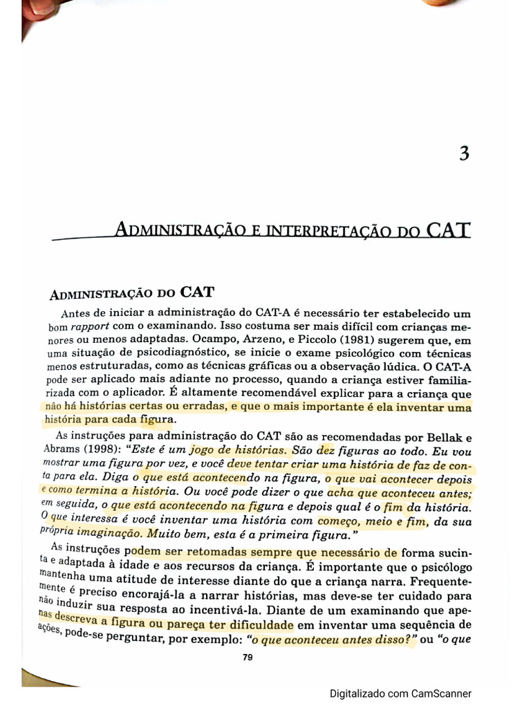 Aplicação e Interpretação CAT | PDF