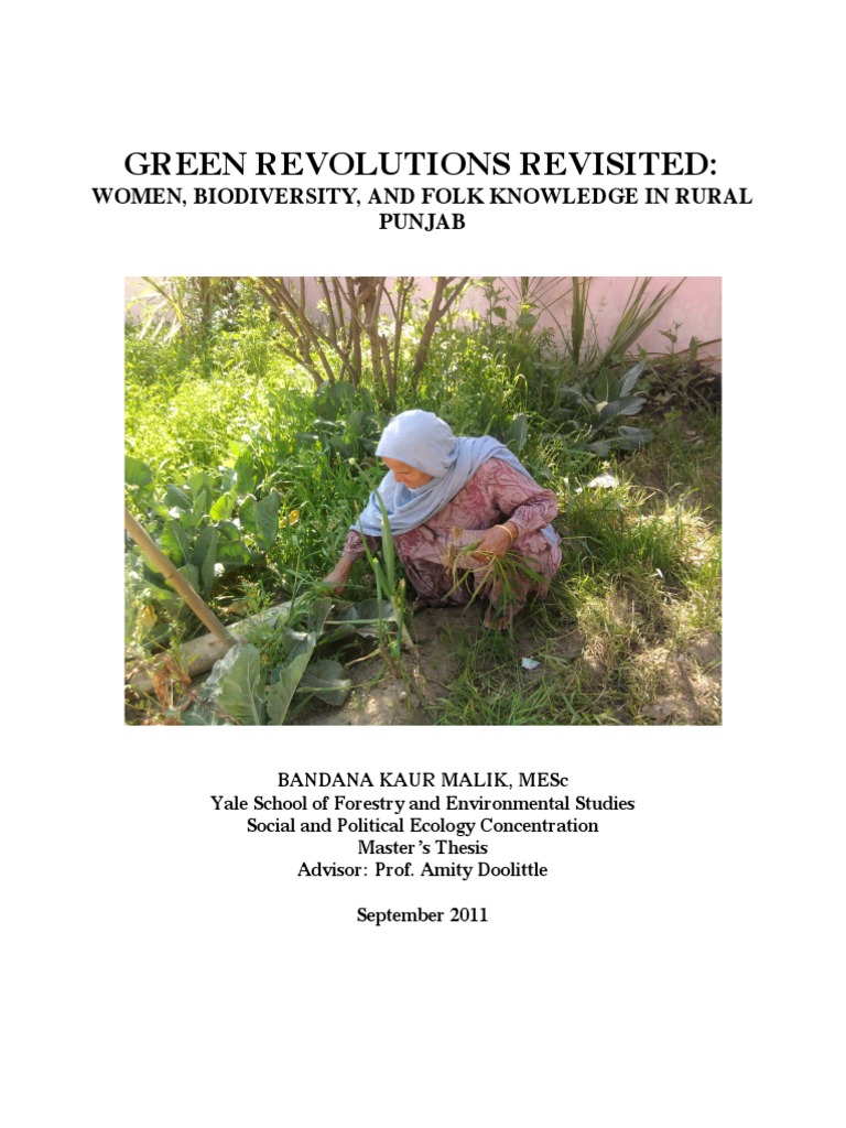 Women and Biodiversity in Punjab's Green Revolution | PDF | Green ...