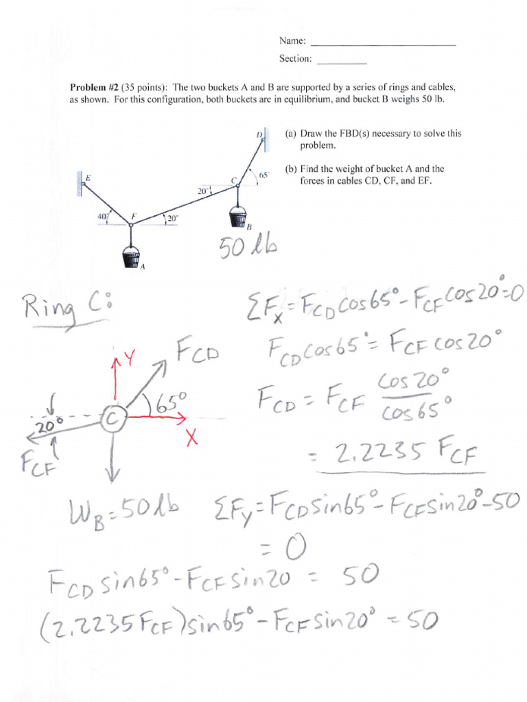 ENES Exam Review 2024 | PDF