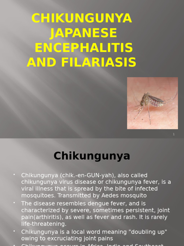 Chikungunya and JE | PDF | Medical Specialties | Diseases And Disorders