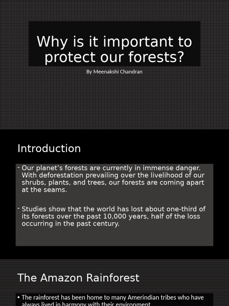 Importance of Forest Protection | PDF | Deforestation | Rainforest