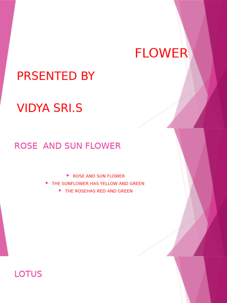 FLOWER | PDF