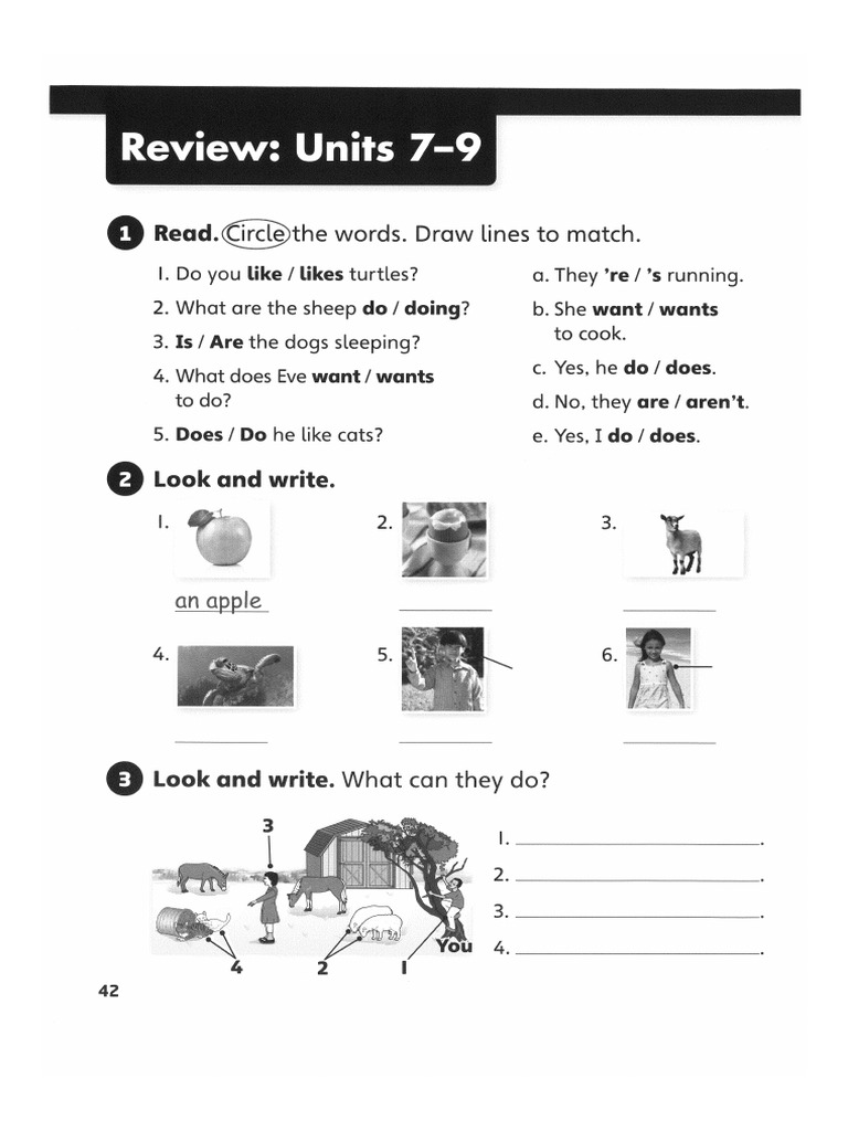 Homework | PDF