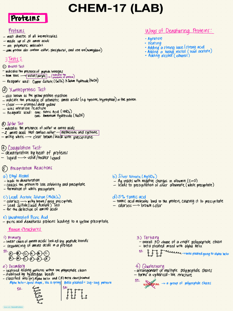 Chem 17 (Lab Notes) | PDF | Carbohydrates | Biomolecules