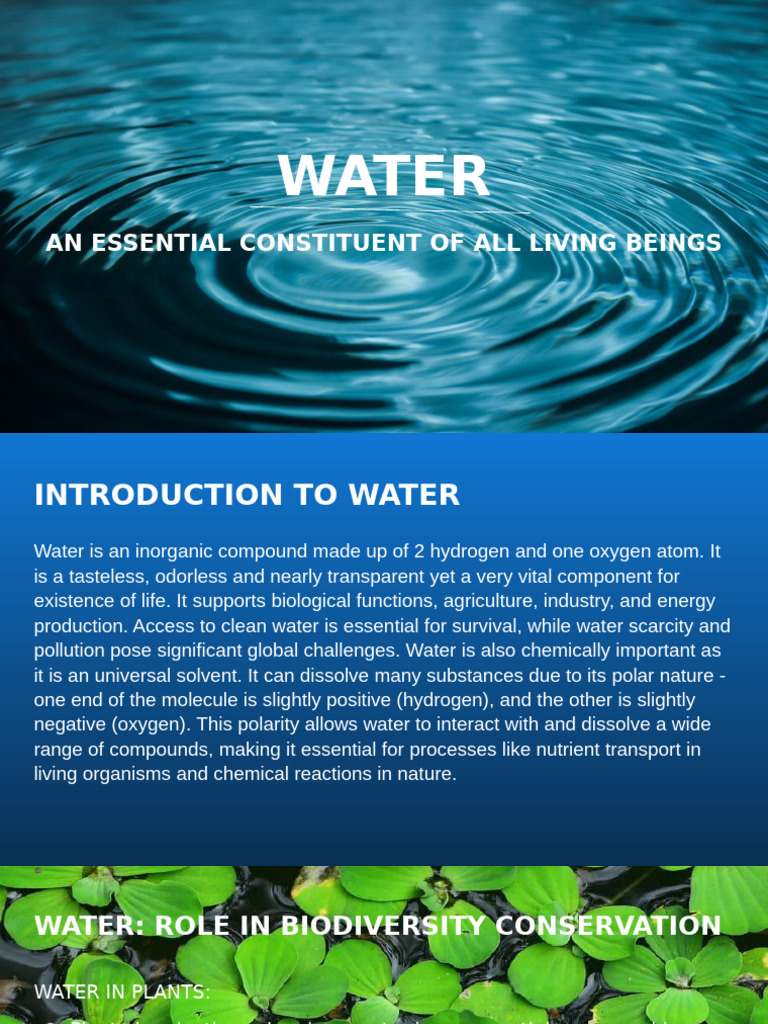 Water 1 Pdf Water Water Pollution