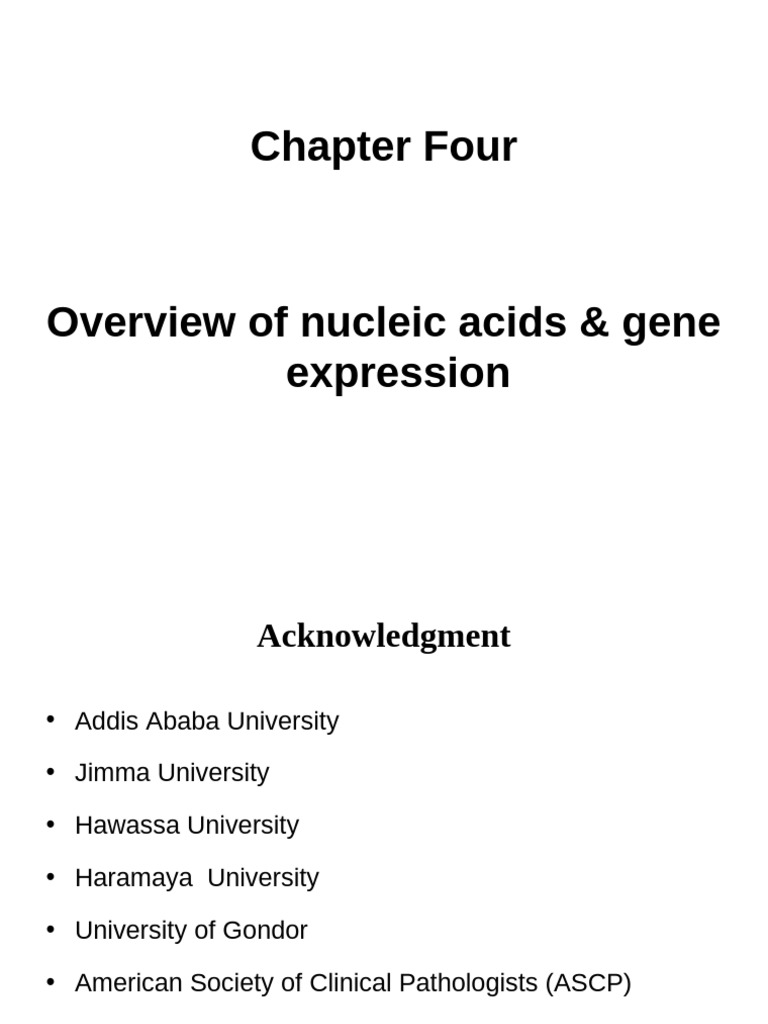 2003 Genetics Chapter 4 | PDF | Rna | Messenger Rna
