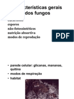 fungos2006