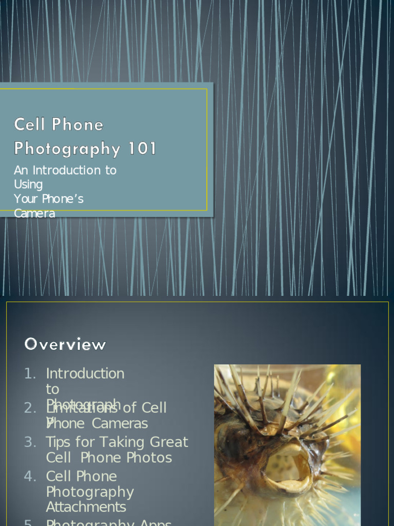 Mastering Cell Phone Photography Tips | PDF | Camera | Camera Lens