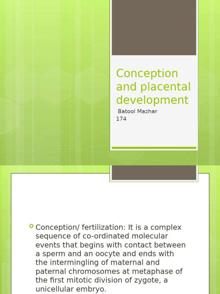 Conception and Placental Development 1 | PDF | Placenta | Biological ...