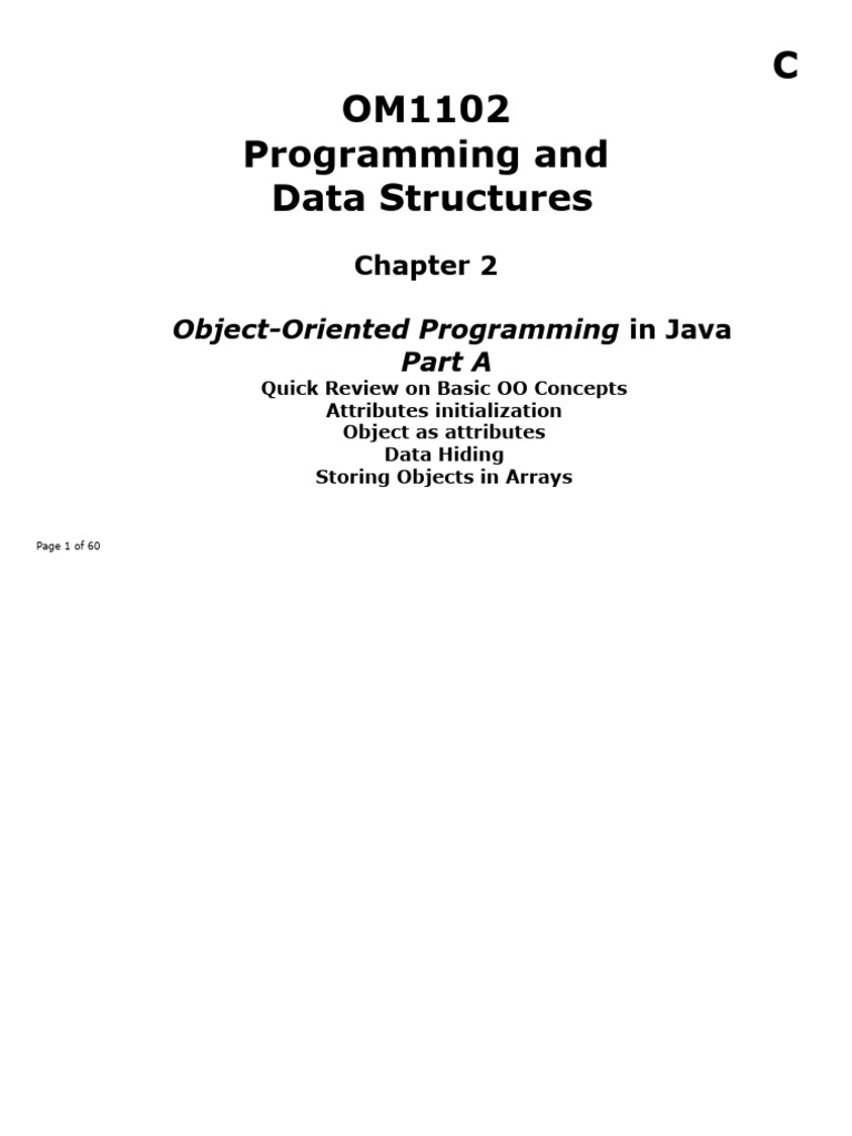 Java OOP Basics for Beginners | PDF | Programming | Constructor (Object ...