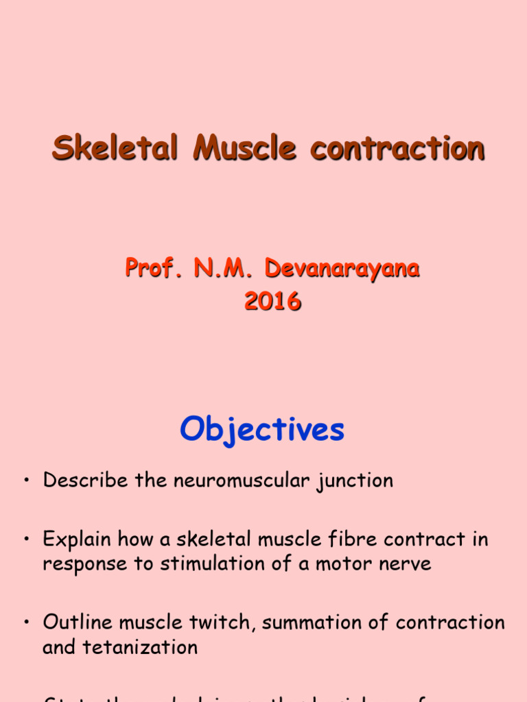 Physiology Muscle 1 | PDF | Muscle Contraction | Neuromuscular Junction
