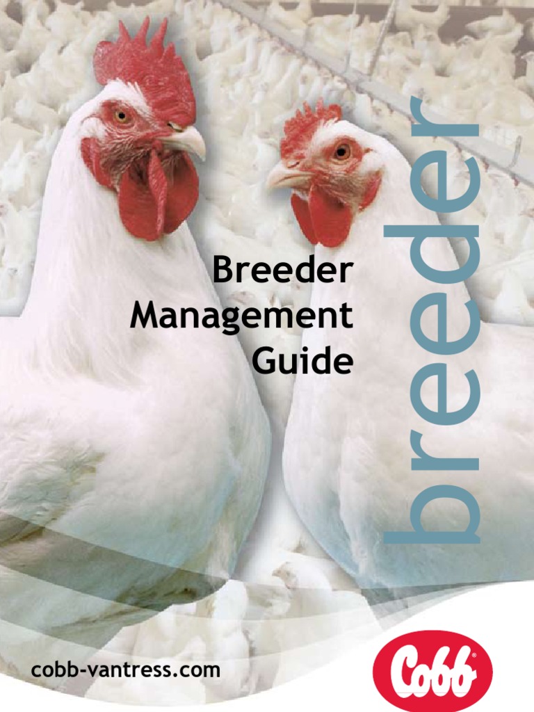 Cobb Breeder Management Guide Overview | PDF | Coefficient Of Variation ...
