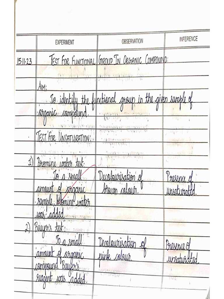 Functional Group Record Notes | PDF