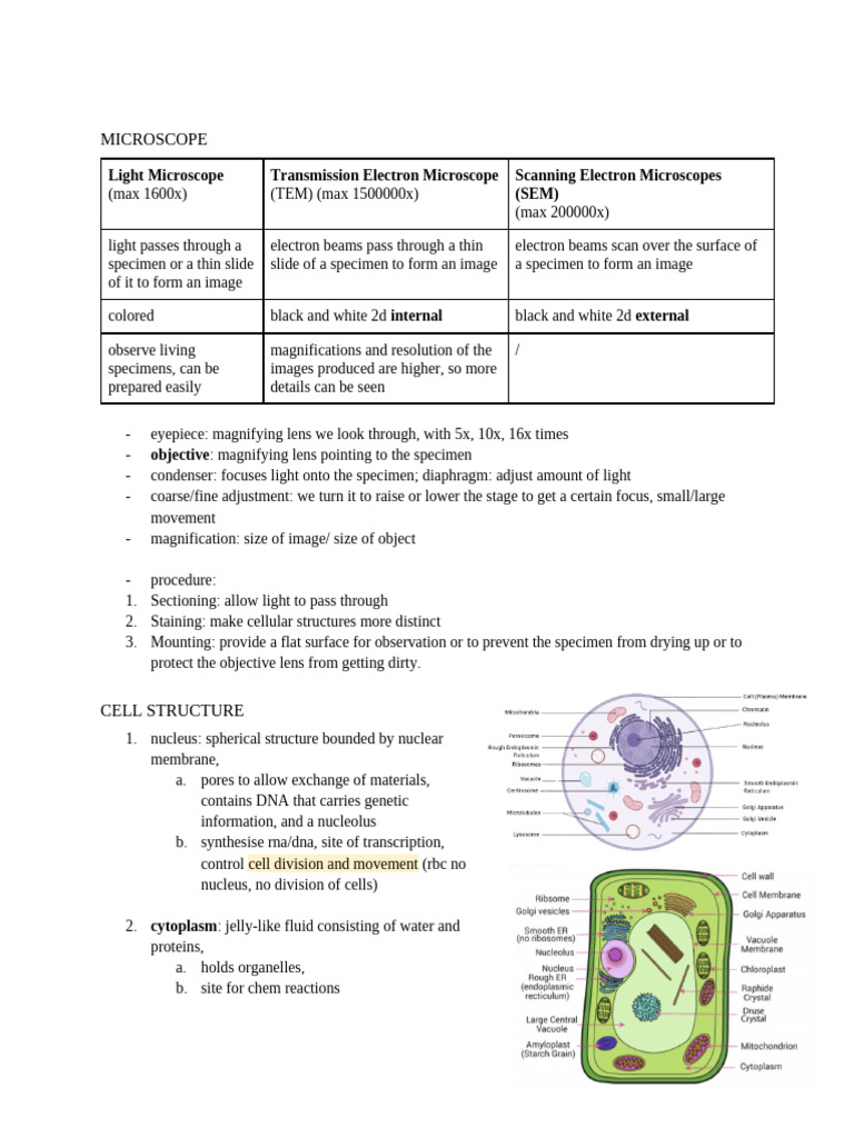 Test Notes - Cytology (DONE) | PDF | Meiosis | Mitosis