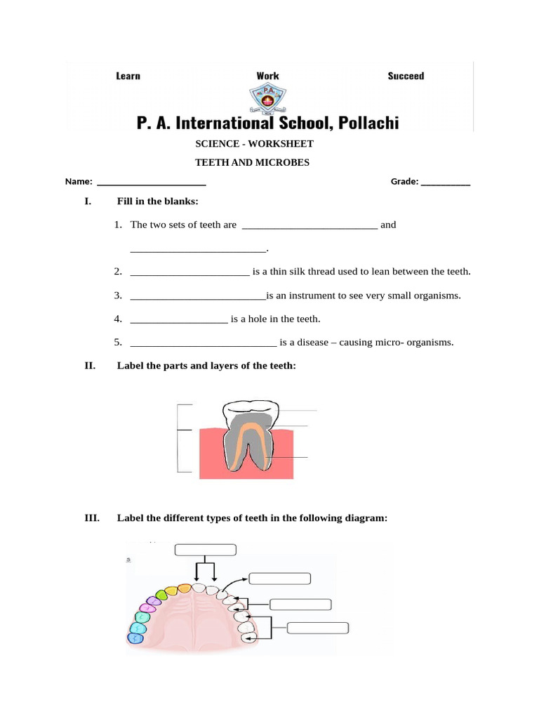 Teeth and Microbes Worksheet for Grade 4 | PDF