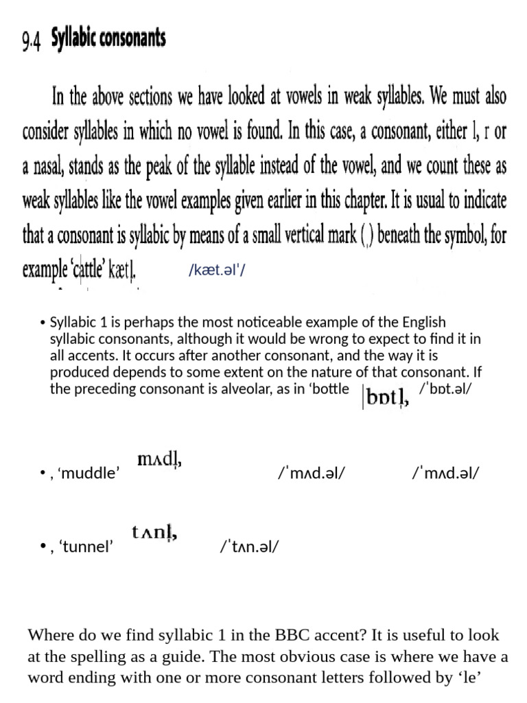 Syllabic Consonants | PDF | Stress (Linguistics) | Consonant