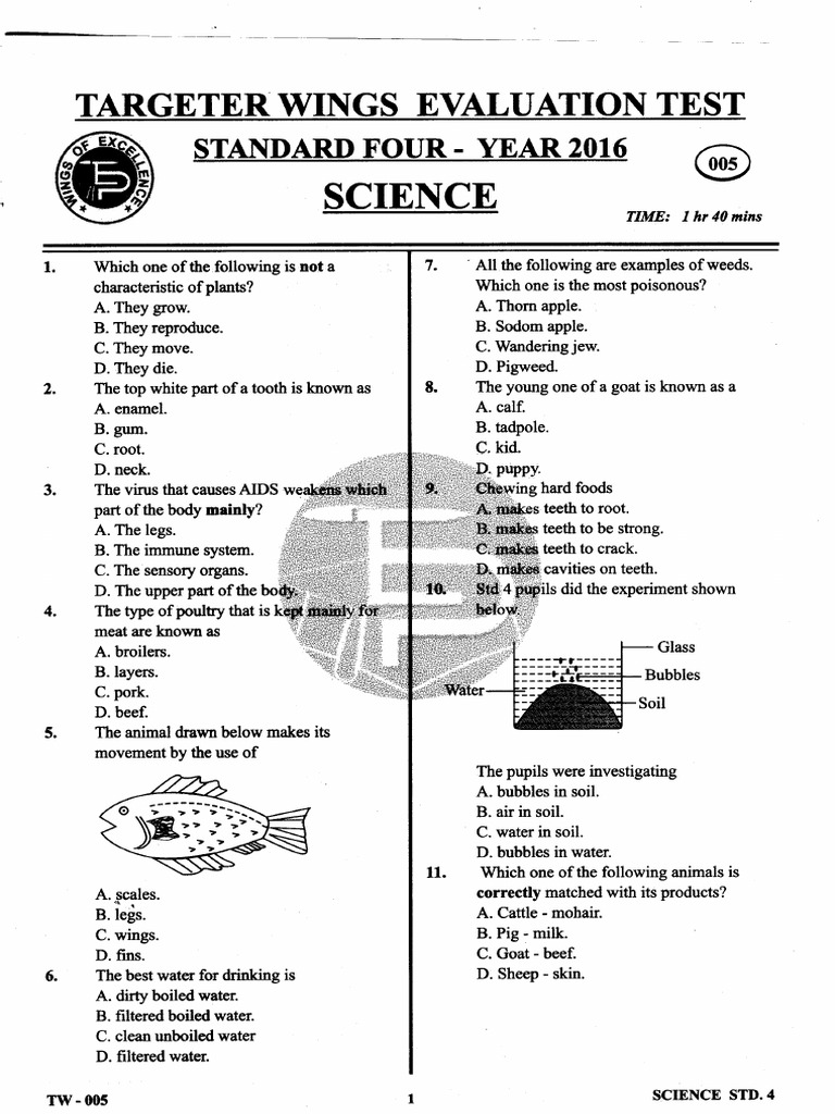 2016 - 20 Standard Four | PDF