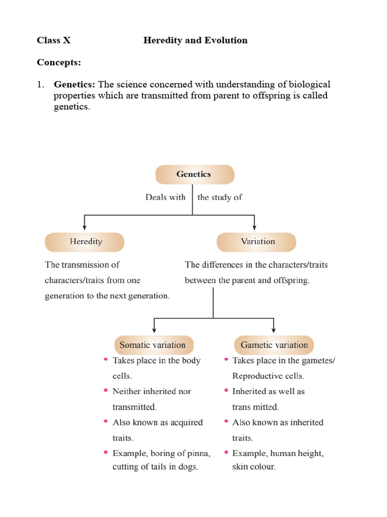 Genetics and Heredity Concepts Explained | PDF | Dominance (Genetics ...