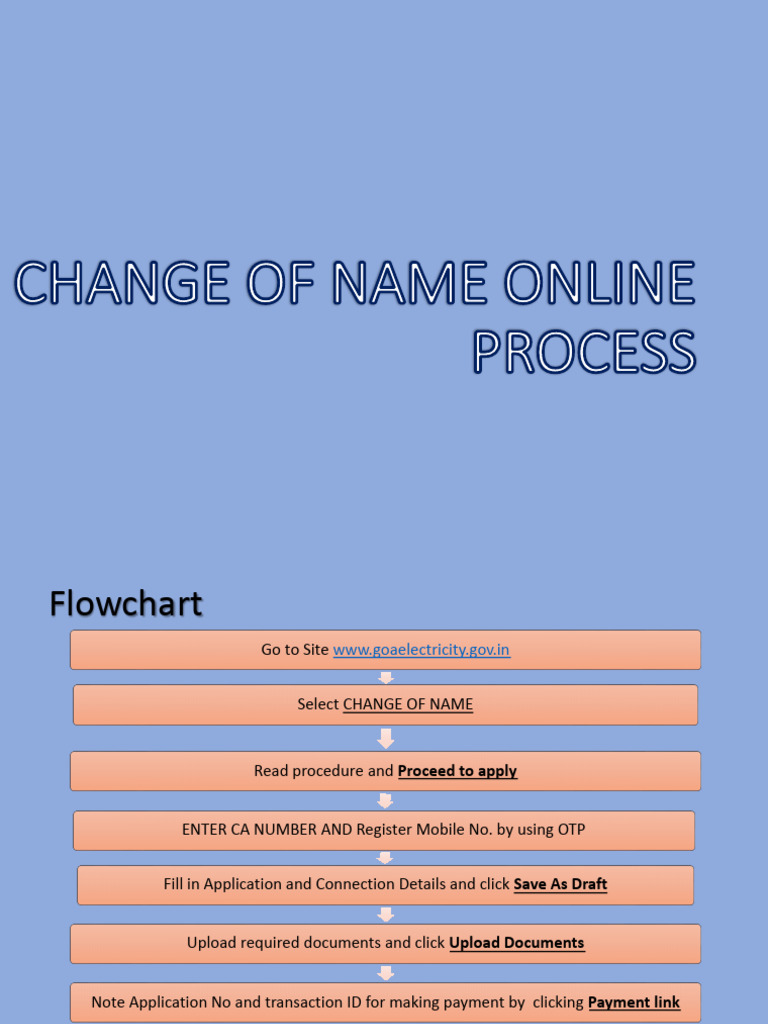 Online Name Change Process Guide | PDF