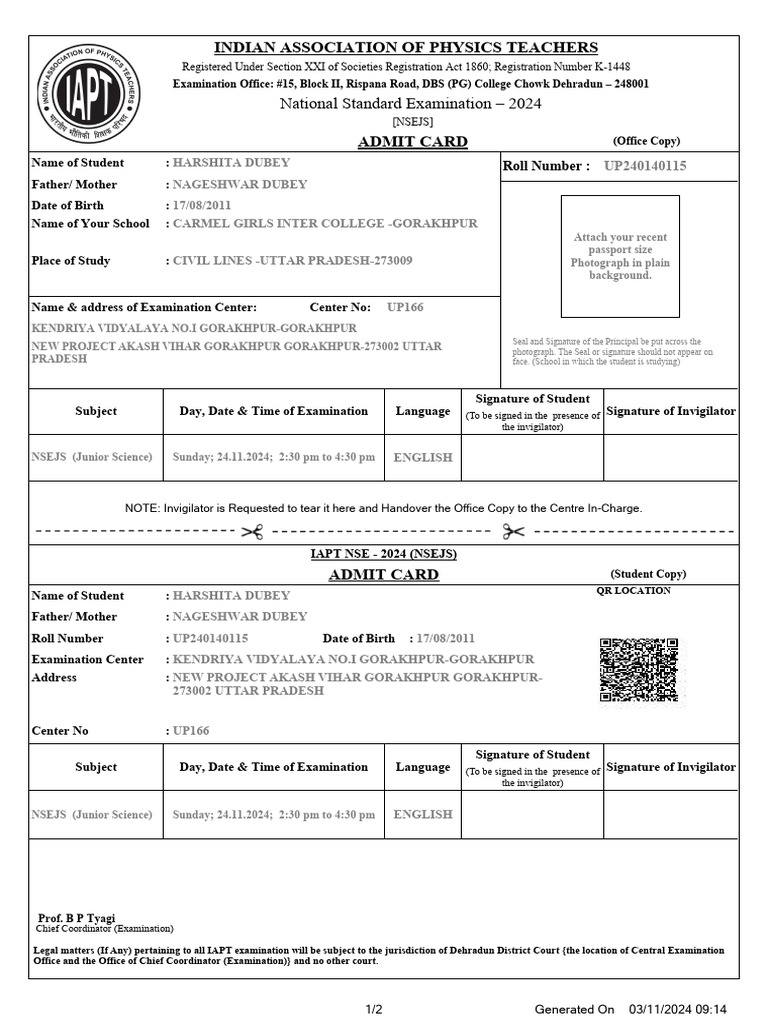 NSEJS 2024 Admit Card for Students | PDF | Government And Personhood