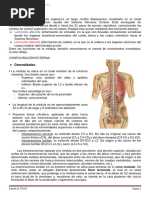 Metámera: Estructura y Funciones Nerviosas | PDF
