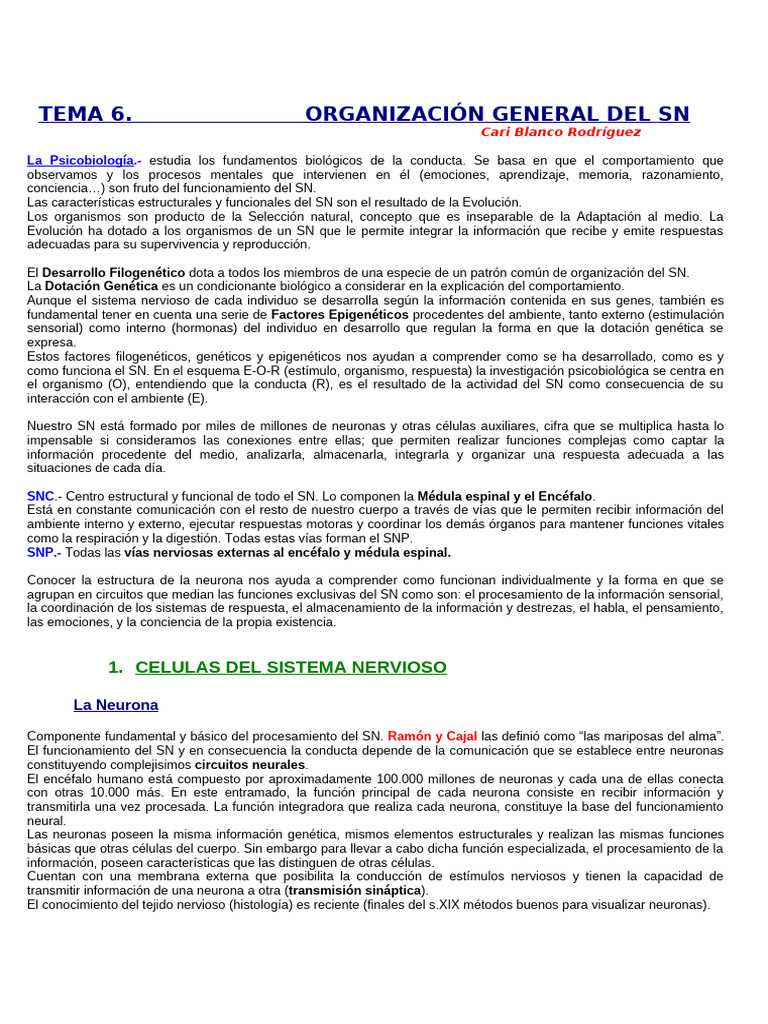 Estructura y Función del Sistema Nervioso | PDF | Neurona | Sinapsis