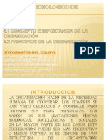 4.1 Concepto e Importancia de La Organizacion 4.2 Principios de La Organizacion Unidad IV