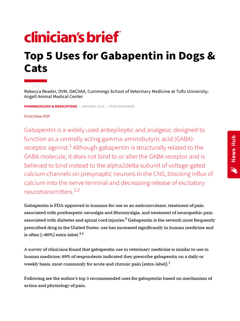 gabapentin original