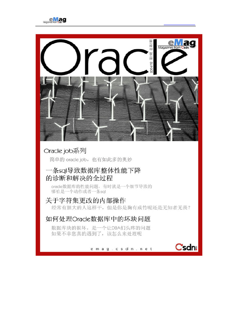 CSDN Oracle杂志第二期 | PDF