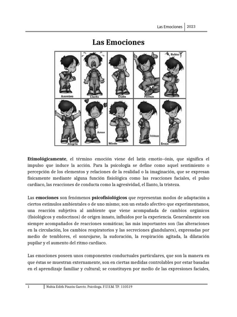 Comprendiendo las Emociones en Niños | PDF | Las emociones | Experiencia