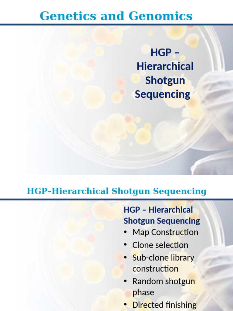 Difference Between Hierarchical And Whole Genome Shotgun Sequencing – JEICN