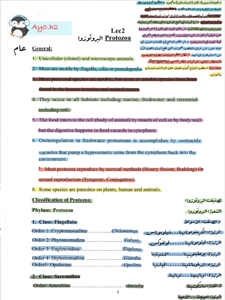 Lec 2 | PDF