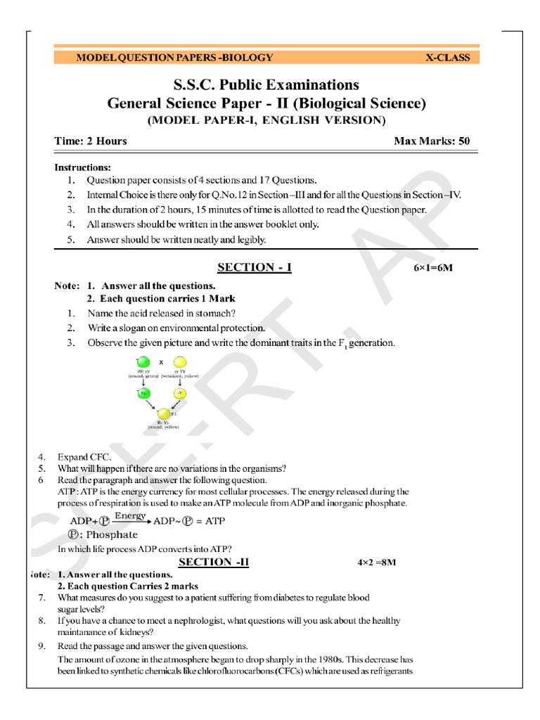 SCERT Data Web App Overview | PDF | Genotype | Food Web